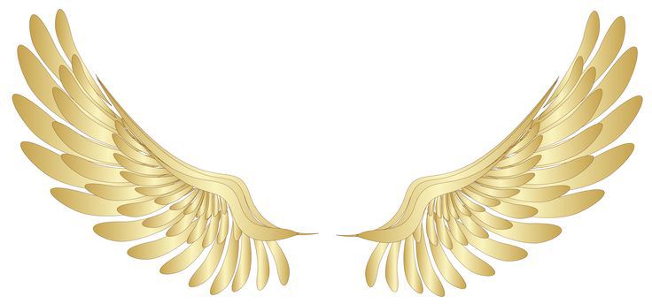 Blog Angels